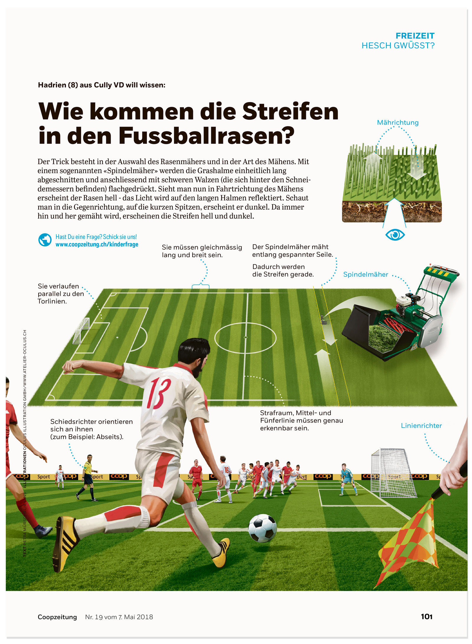 oculus-illustration-coopzeitung-hesch-gwuesst-fussballrasen