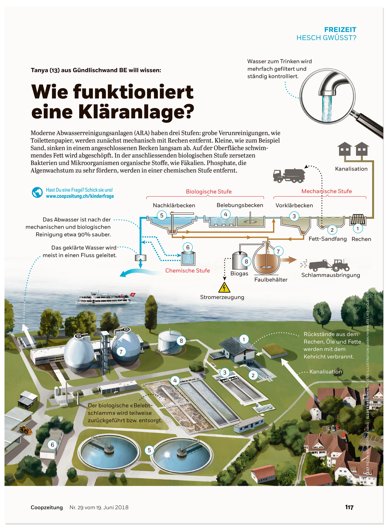 oculus-illustration-coopzeitung-hesch-gwuesst-klaeranlage