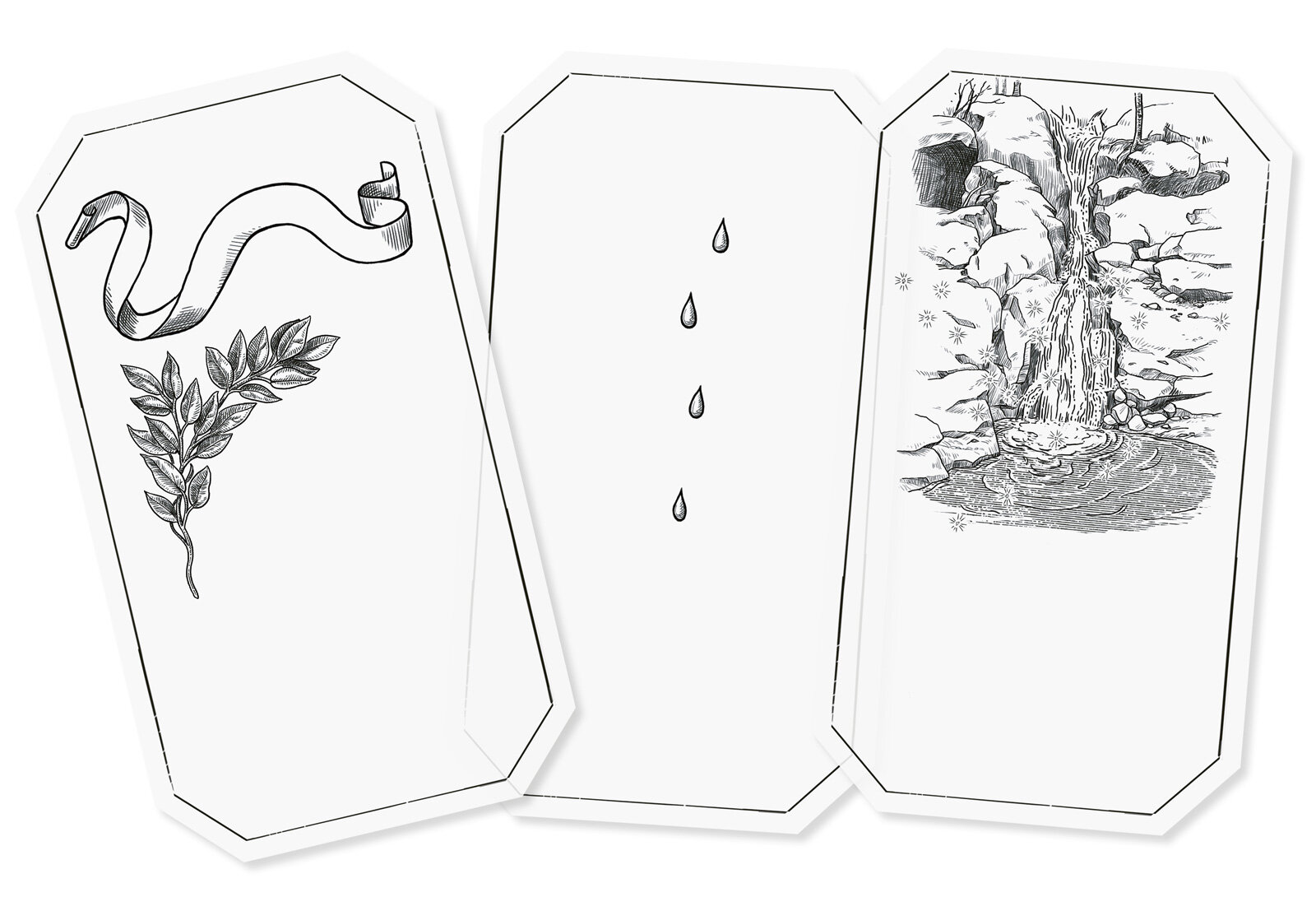 Oculus-illustration-arquinesia-parfum-verpackungsdesign-vintage-karten-moos