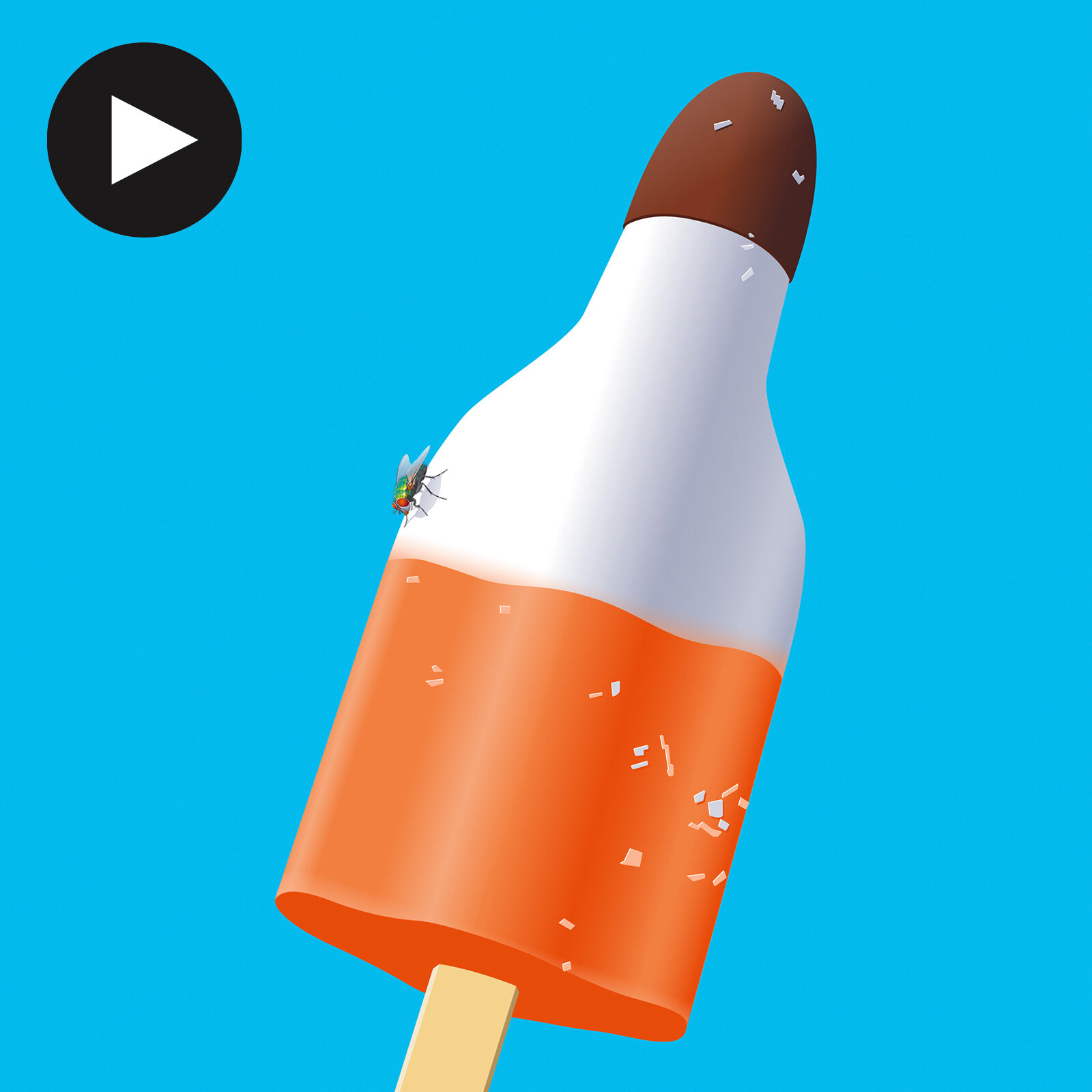 Visuals und Animation