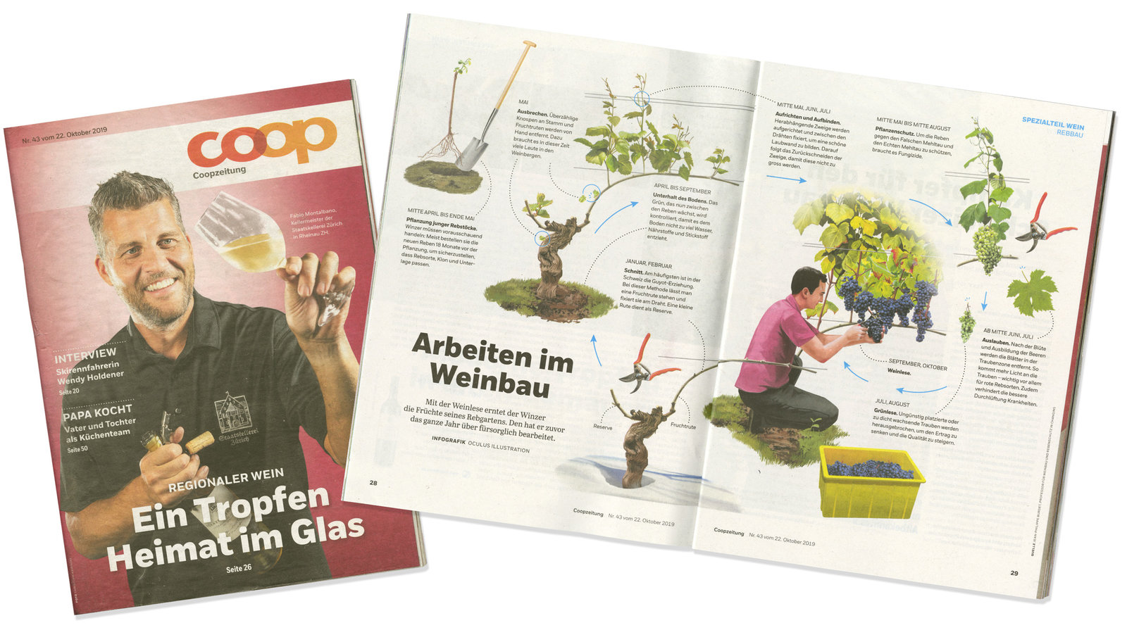 oculus-illustration-coopzeitung-infografik-winzer-print