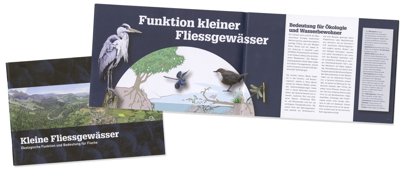 oculus-illustration-fliessgewaesser-publikation