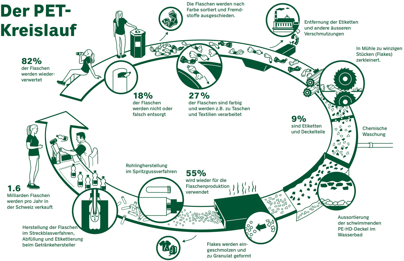 oculus-illustration-infografik-pet-recycling