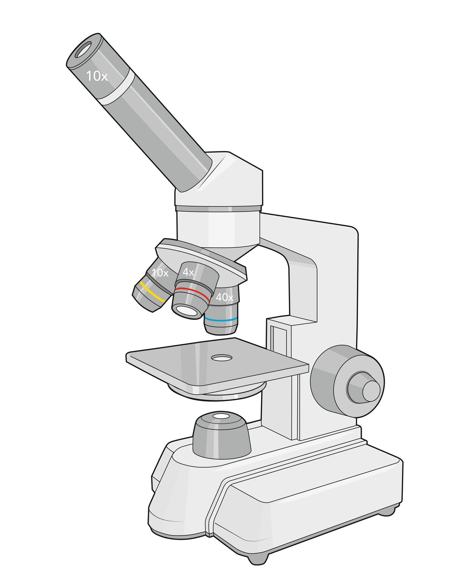 oculus-illustration-lehrmittel-natur-technik-mikroskop