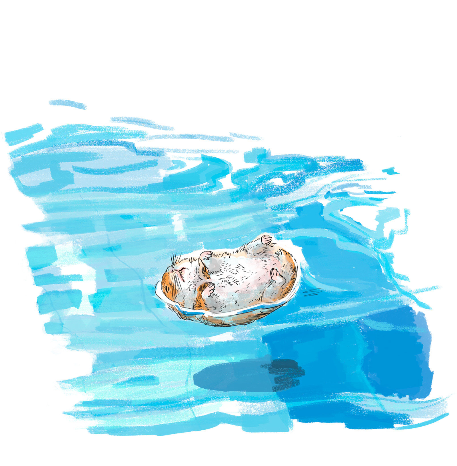 oculus-illustration-mundart-woerterbuch-gaggalaariplatz-hamster