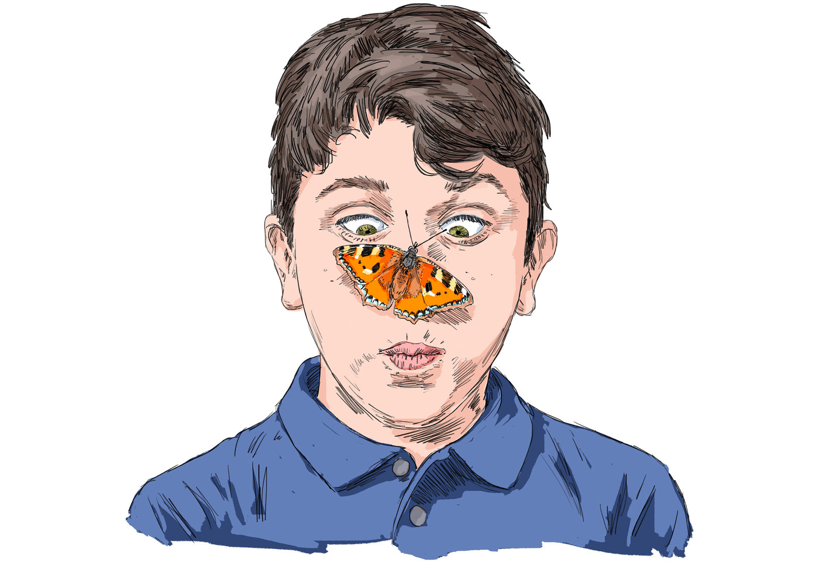 oculus-illustration-mundart-woerterbuch-gaggalaariplatz-schmetterling