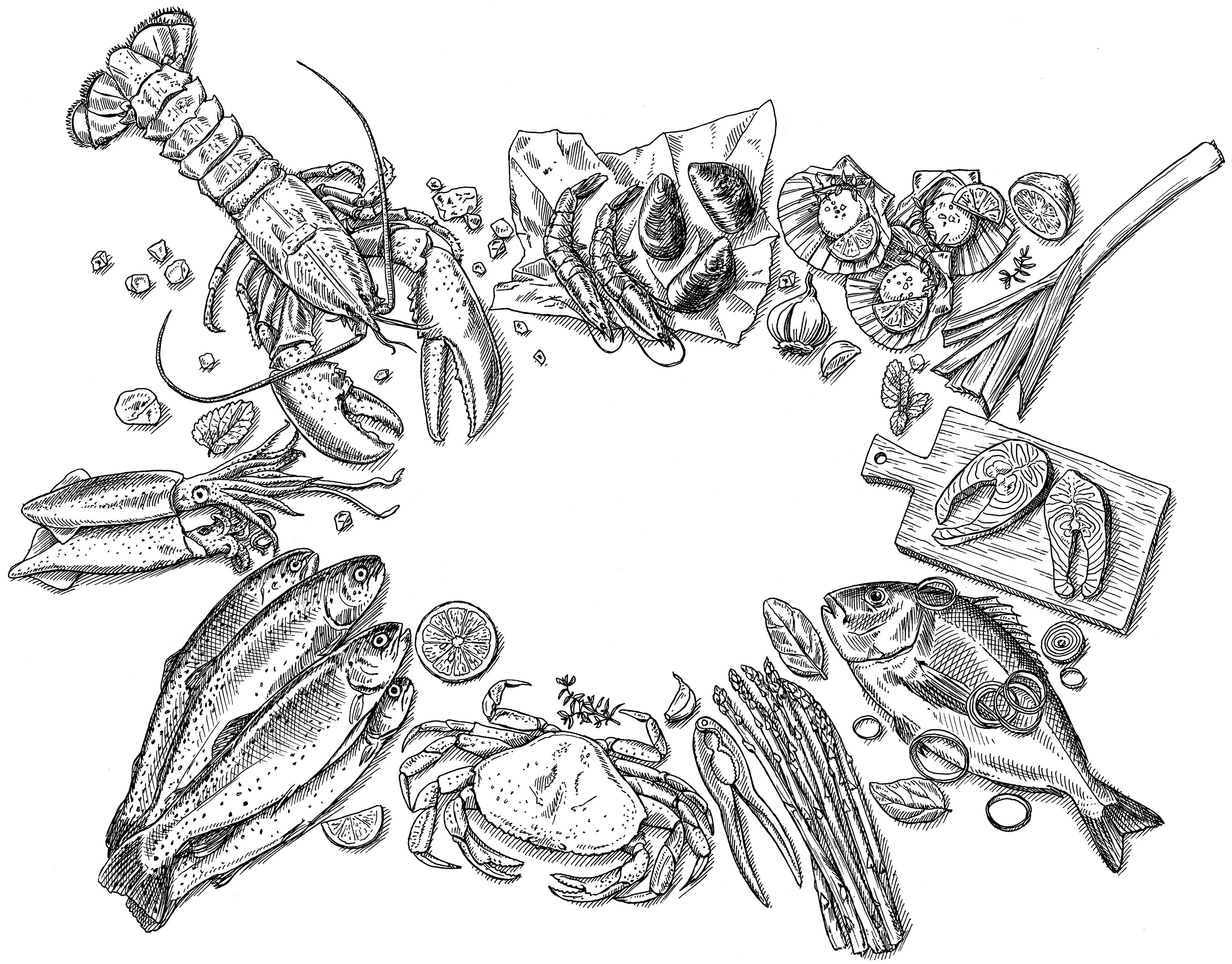 oculus-illustration-bianchi-keyvisual-zeichnung-seafood