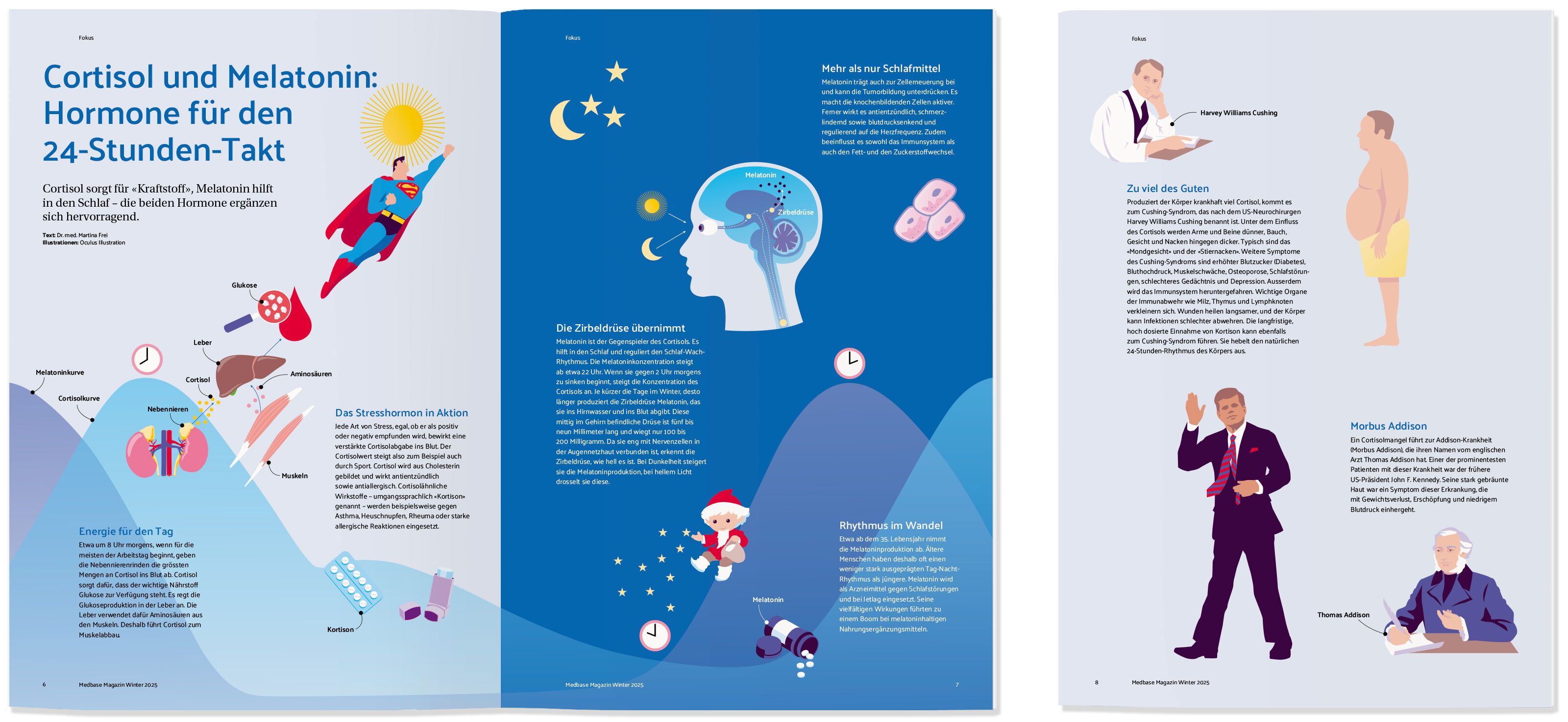 oculus-illustration-medizin-infografik-hormone-cortisol-melatonin-magazin