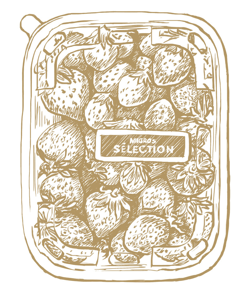 oculus-illustration-migros-selection-produkt-7